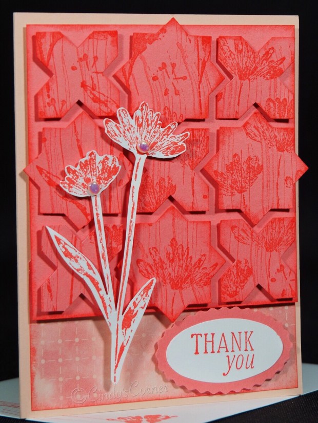 Farewell 2023 Cindy's Corner